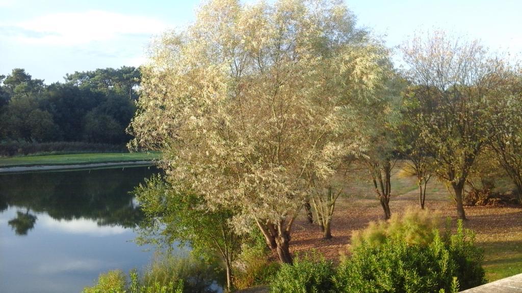 Studio Avec Vue Sur Lac Talmont-Saint-Hilaire 外观 照片